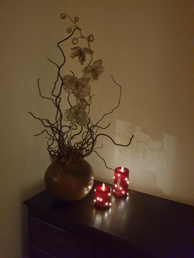 Beautiful Double En-Suite Room, Separate Entrance, Ilford, Central Line Gants Hill, Free Parking Εξωτερικό φωτογραφία